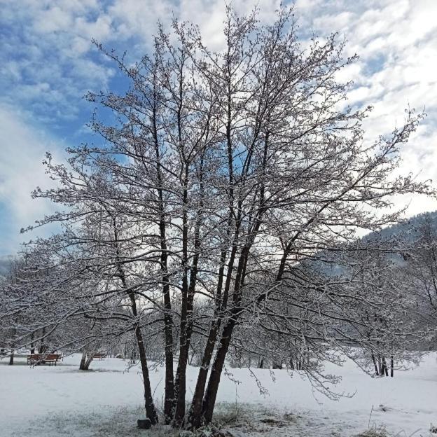 Ca' Stravaganza Appartement Bieno  Buitenkant foto